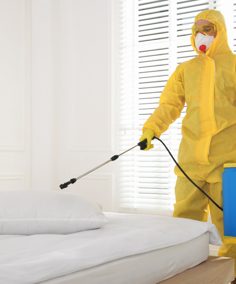 Professional Pest Control Team in Lower Mitcham